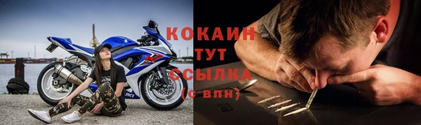 СК Белокуриха