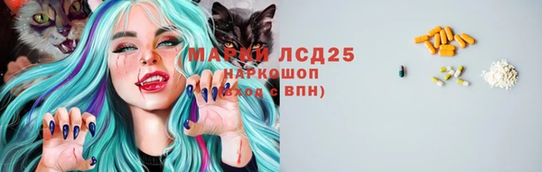 соль ск Богородицк