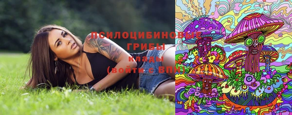 каннабис Богданович