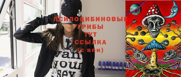 СК Белокуриха