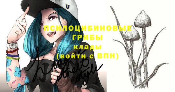 прущий лед Белоозёрский