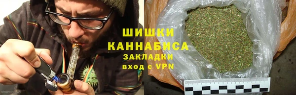 твердый Богородск